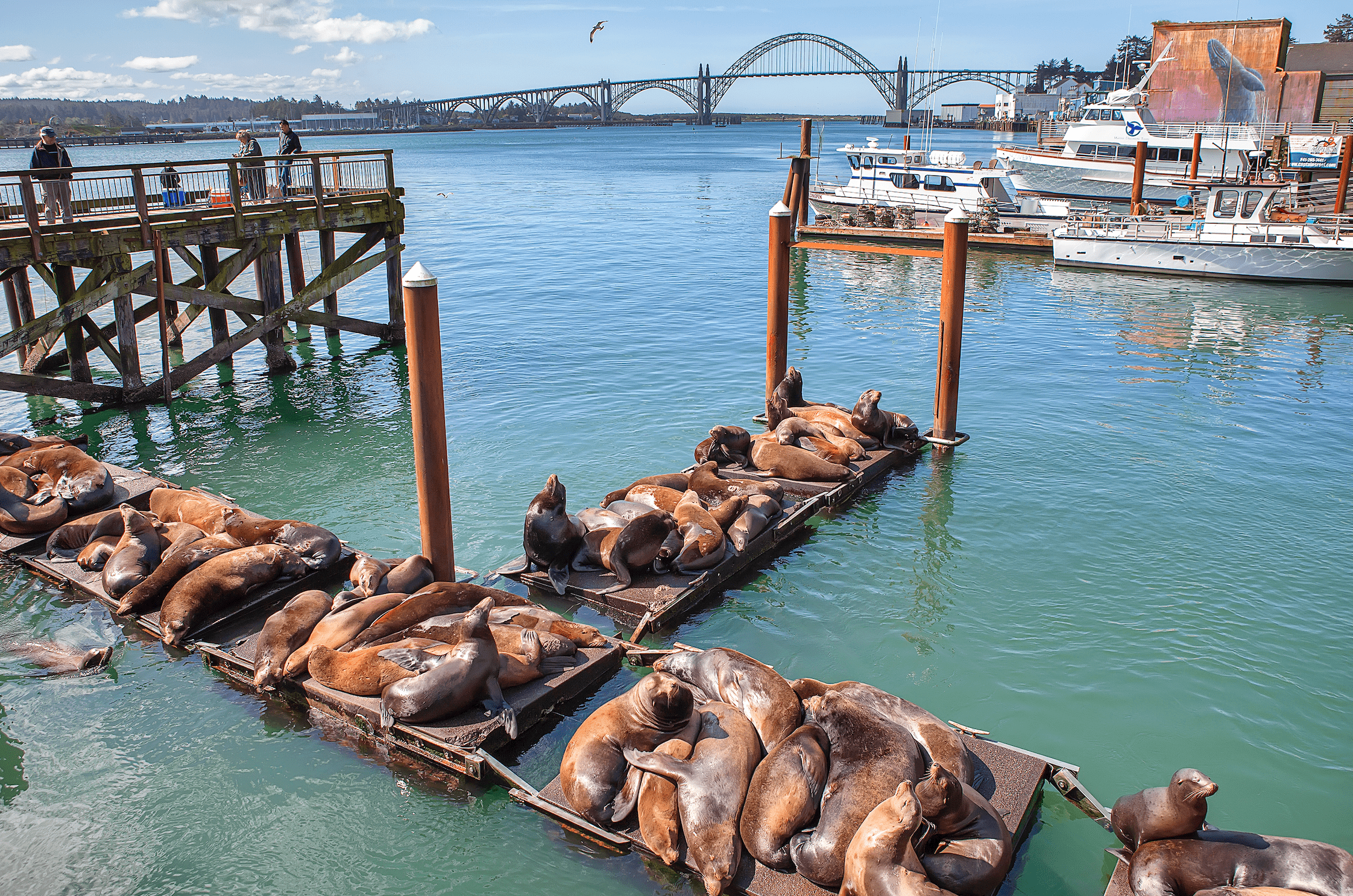 Explore The Dungeness Crab Capital of the World®